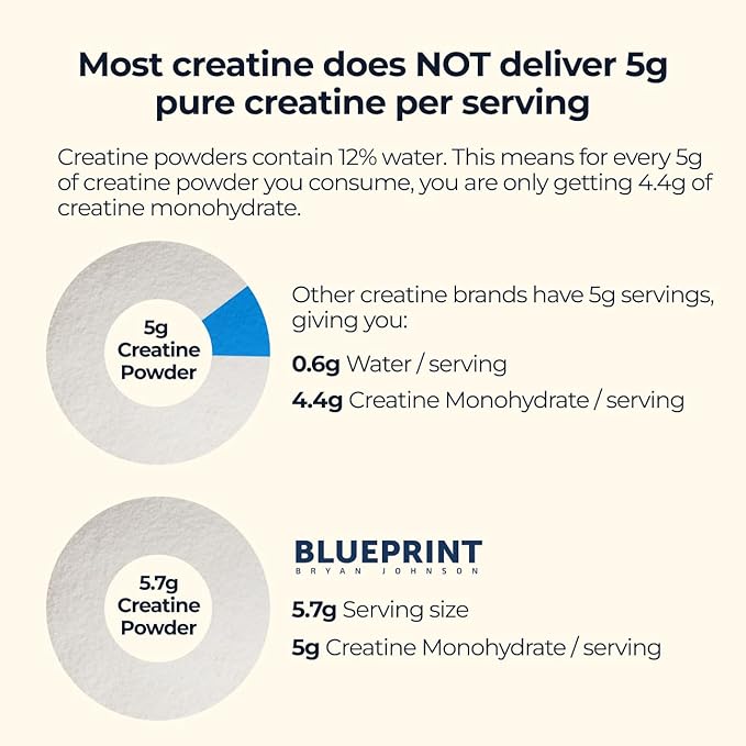 Blueprint Bryan Johnson Creatine Monohydrate Powder – Amino Acid Powder - Suppliment Supports Muscle Growth, Recovery, Strength & Focus – Unflavored Creatine for Women & Men – 5g Dose – 100 Servings
