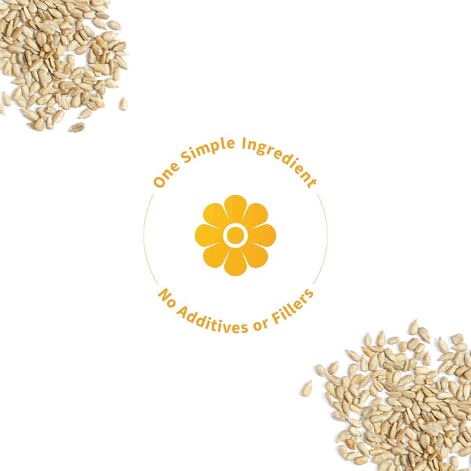 Sprout Living Simple Sunflower Seed Protein Powder, 15 Grams Organic Plant Based Protein Powder Without Artificial Sweeteners, Non Dairy, Non-GMO, Vegan, Gluten Free, Keto Drink Mix (1 Pound)