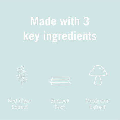 Karuna Skin - Renewal+ Eye Mask | Under Eye Patches for Tired Eyes |Burdock Root & Mushroom Extract | For Puffy Eyes & Fine Lines | 5 per Pack