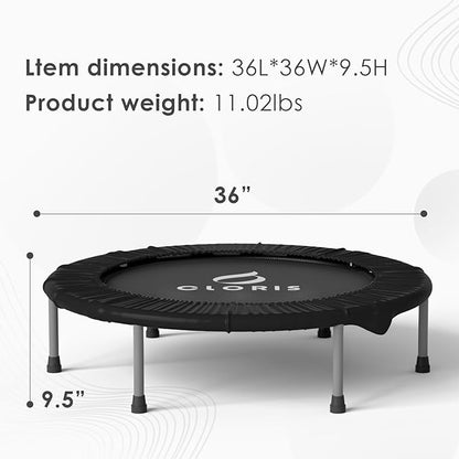 CLORIS 36'' Foldable Mini Trampoline - Max Load 170lbs, Rebounde Trampoline for Adults Indoor/Outdoor Fitness Body Exercise