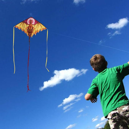 4Pack Large Kite Set - Easy to Fly for Kids Adults, Beach & Park & Outdoor Activities, Perfect for Easter and Festival