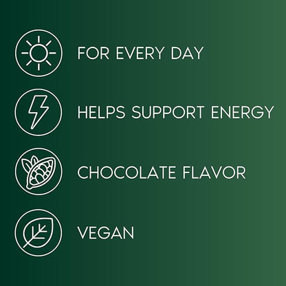Primal Harvest Vegan Protein Powder for Nutritional Weight Support 20g Plant-Based Protein Per Serving from Fava Beans Chickpeas & Rice Chocolate Flavor 405g Gluten-Free Soy-Free No Added Sugar