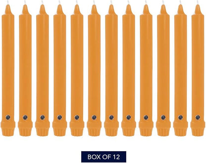 Colonial Candle Unscented Taper Candle, Classic Collection, Caramel, 10 in, Pack of 12 - Up to 8 Hours Burn