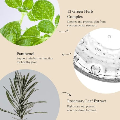 Herb Wormwood O₂ Mask Pack – Korean Oxygen Bubble Face Mask for Sensitive, Oily & Acne-Prone Skin, Exfoliating with AHA BHA, Tea Tree & Peppermint, Smooths & Refreshes, 10.1 fl.oz.
