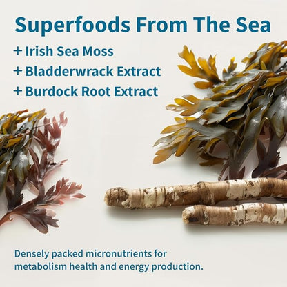 Snap Supplements Irish Sea Moss Capsules with Bladderwrack, Burdock Root & Iodine ??Supports Energy, Immune Health, Digestion & Skin ??60 Capsules
