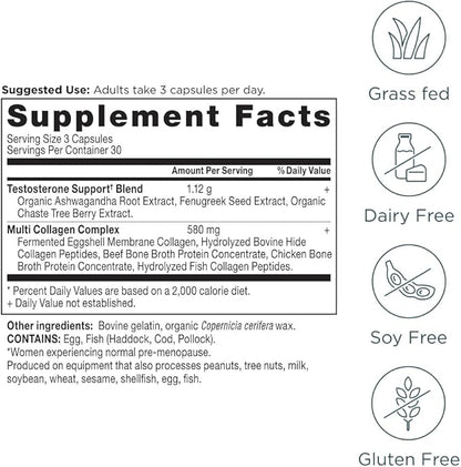 Ancient Nutrition Testosterone Support + Collagen Supplement, Hydrolyzed Collagen Peptides, Key Clinically Studied Superfoods Support Female Hormone Balance & Healthy Testosterone Levels, 90 Capsules