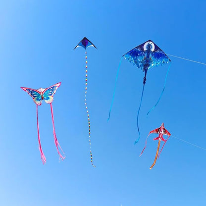 Mint's Colorful Life Kite Set for Kids and Adults, Easy to Fly Butterfly Delta Airplane Dragon Octopus Kite, Large Beach Kites Kits with 300ft String, Best for Gifts & Family Outings