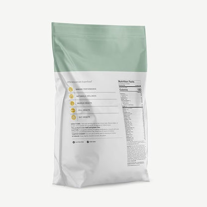 BIG BOLD HEALTH HTB Rejuvenate Superfood Plant-Based Protein Powder ??Himalayan Tartary Buckwheat with Polyphenols & 17g Protein ??Gut Support & Immune Balance (Vanilla Flavor)