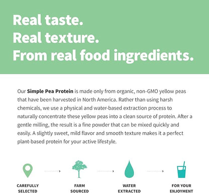Sprout Living Organic Pea Protein Powder, Unflavored, 20 Grams of Plant Based Organic Protein Powder Without Artificial Sweeteners, Non Dairy, Non-GMO, Vegan, Gluten Free (2 Pound, 38 Servings)