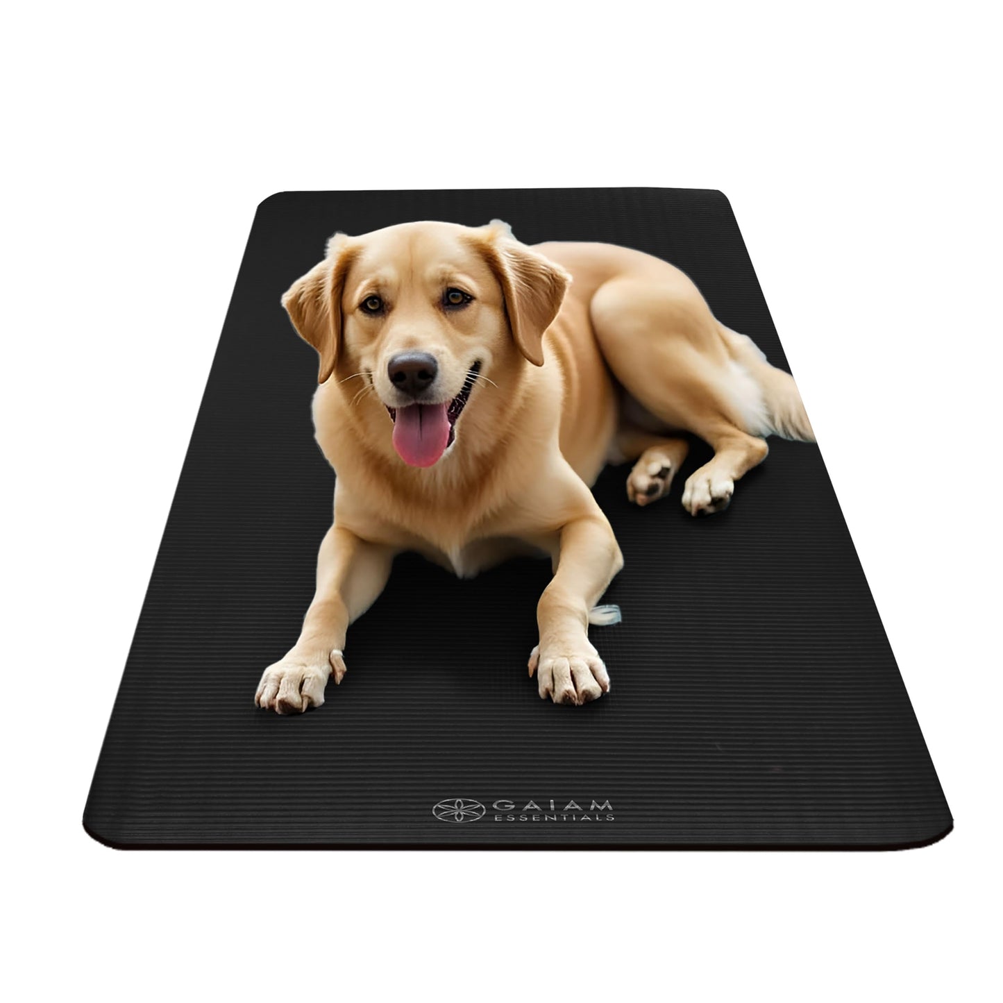 Gaiam Essentials Thick Yoga Mat with Easy-Cinch Strap (Black, 10mm)