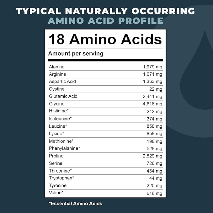 16oz Bone Broth Protein Powder From Grass Fed Beef - Unflavored, Single Ingredient - Rich in Collagen, Glucosamine, Gelatin, Paleo Protein Powder, Gut-Friendly, Non-GMO Ingredients, Dairy-Free Protein