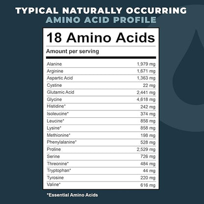 16oz Bone Broth Protein Powder From Grass Fed Beef - Unflavored, Single Ingredient - Rich in Collagen, Glucosamine, Gelatin, Paleo Protein Powder, Gut-Friendly, Non-GMO Ingredients, Dairy-Free Protein