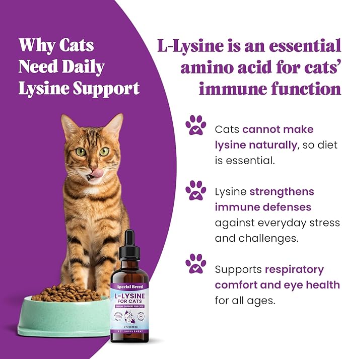 Special Breed L-Lysine for Cats & Kittens ??Immune, Respiratory & Eye Health Support ??Liquid Cat Supplement with Astragalus, Burdock, Atractylodes, Dangshen & Vitamins A, B1, B2, B6 ??2oz (60mL)
