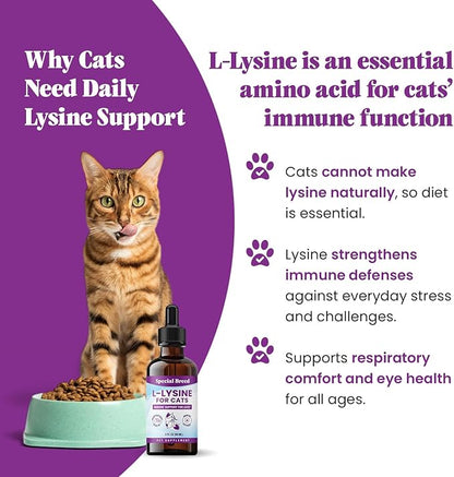 Special Breed L-Lysine for Cats & Kittens ??Immune, Respiratory & Eye Health Support ??Liquid Cat Supplement with Astragalus, Burdock, Atractylodes, Dangshen & Vitamins A, B1, B2, B6 ??2oz (60mL)
