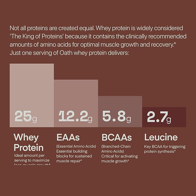 Whey Protein Powder, Chocolate Brownie, 25 Grams of Protein and Only 1 Gram of Sugar per Serving, 2 lbs, 25 Servings