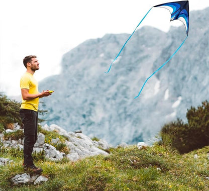 Blue Delta Kite Easy to Fly,Beach Trip Outdoor Games Single Line String with Tail,Easy Flying Colorful Life 3D Delta Huge Kite for Kid and Adult