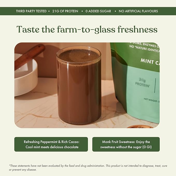 No-Nonsense Plant Protein, 21g Organic Brown Rice & Pea Isolate, Plant Based, Vegan, Gluten/Dairy Free, Sugar Free, Mint Cacao, 1.1lb (1pk, 13 Servings)