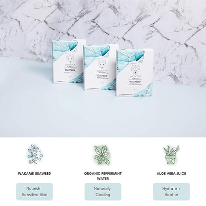 Snow Fox Skincare Arctic Breeze Rescue Mask with Peppermint & Aloe Vera Juice, 1 Pack