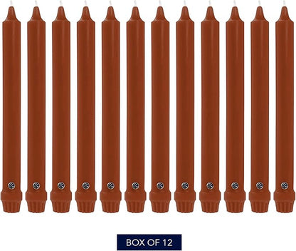 Colonial Candle Unscented Taper Candle, Classic Collection, Amber, 10 in, Pack of 12 - Up to 8 Hours Burn