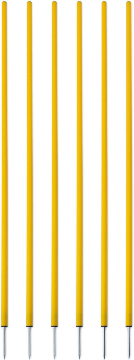 Champion Sports Coaching Sticks