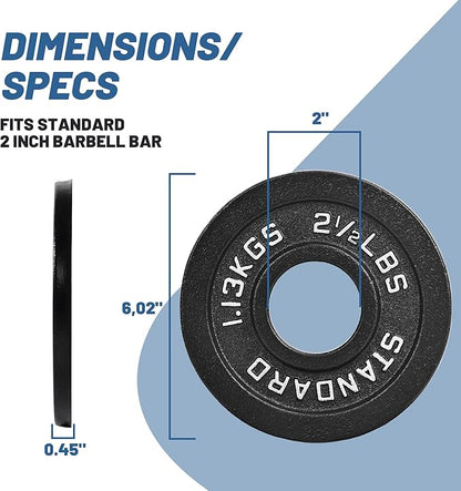 Professional-Grade Cast Iron Weight Plates | Dual-Hole Weight Plates with 2-Inch Bore | Ideal for Strength Training and Weightlifting | Multiple Weight Options Available