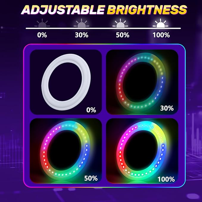 Amarlozn Light up Flying Ring Disc Toy for Kids Adults, 10" Rechargeable 12 Dynamic Modes Glow in The Dark Flying Ring, Led Flashing Beach Sport Disc, Outdoor Park Yard Night Camping, Toss Catch Game