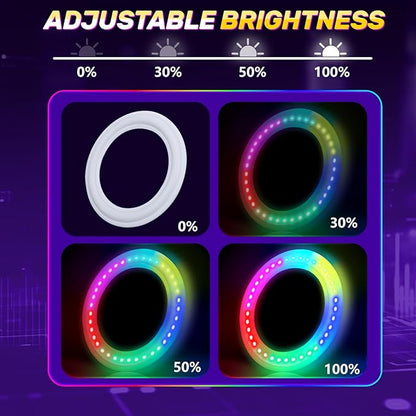 Amarlozn Light up Flying Ring Disc Toy for Kids Adults, 10" Rechargeable 12 Dynamic Modes Glow in The Dark Flying Ring, Led Flashing Beach Sport Disc, Outdoor Park Yard Night Camping, Toss Catch Game