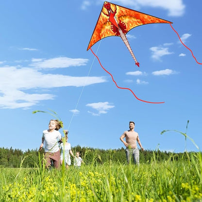 Large Kites for Adults Kites for Kids Ages 4-8， 8-12 Beach Park Outdoor Game Activities, Gifts for Easter and Festival
