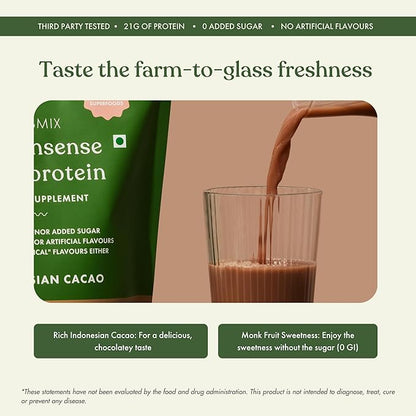 No Nonsense Plant Protein, Organic Brown Rice & Pea Isolate, Easy Digestion, 24G Protein/Serving, Gluten & Lactose Free Real Indonesian Cacao 500 G (Pack of 1)