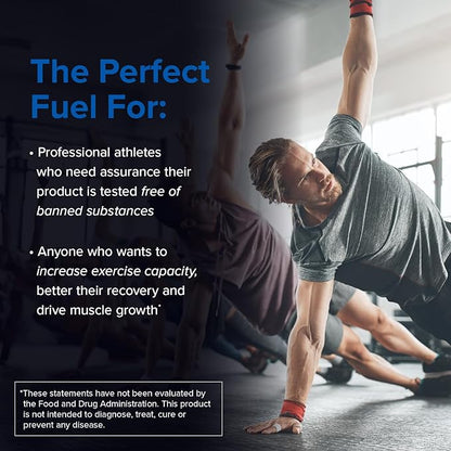 Creatine Monohydrate Powder - NSF Certified for Sport Creatine Supplement to Support Muscle