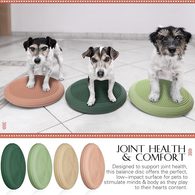 Libima 4 Pcs Wiggle Seat Inflated Wobble Cushion for Sensory Kid 13 Inches Balance Disc Flexible Seating for Classroom Sensory Pad for Chair Wiggle Cushion with Needle Pump