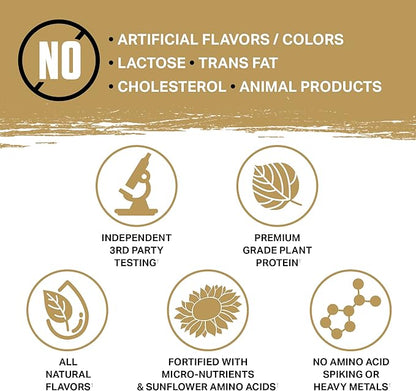 Ambrosia Planta - Premium Plant-Based Protein | Vegan & Keto Friendly | Gourmet Flavors with No Bloating or Stomach Upset | Gluten & Soy Free | No Added Sugar | 25 Servings | Campfire Smores