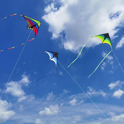 Mint's Colorful Life Delta Kite for Kids & Adults, Extremely Easy to Fly Kite, Best Kites for Beginner