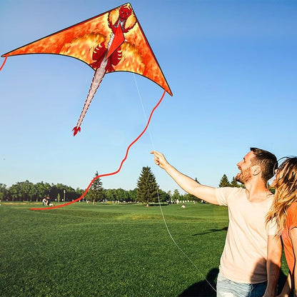 Kite for Kids 4-8 & 8-12, Delta Kites for Kids & Adults Easy to Fly, Huge Dragon Kites for Beginner, Beach Trip Park Family Outdoor Games and Activities