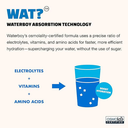 Waterboy Weekend Recovery | 3,187mg Electrolyte Powder Packets | Ginger + L-Theanine + Vitamins | No Sugar, All Natural, Gluten Free | 24 Drink Stick Mixes (Grape)