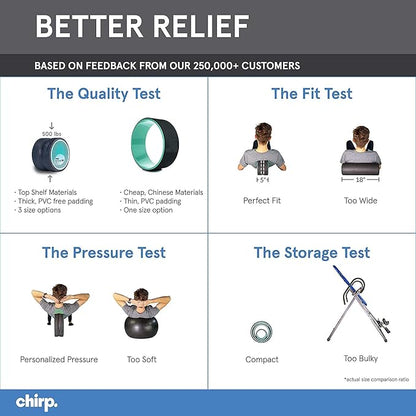 Chirp Wheel Foam Roller ??Targeted Back & Neck Relief, Lumbar Spine Stretcher, Spinal Decompression Back Stretcher, Massage Roller with Density Foam for Physical Therapy, Supports 500lbs, 10-Inch Mint