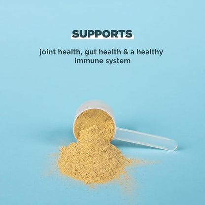 Ancient Nutrition Grass Fed & Cage Free Bone Broth Protein Powder, 20g Protein Per Serving, Hydrolyzed Collagen Peptides, Glucosamine, Chondroitin, Supports Joint & Gut Health, Pure, 20 Servings