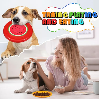 10 Pack Flying Disc Disk Flyer Disc Outdoor Training Interactive Flying Discs Bulk for Adults Dogs for Sports Favors, 5 Colors