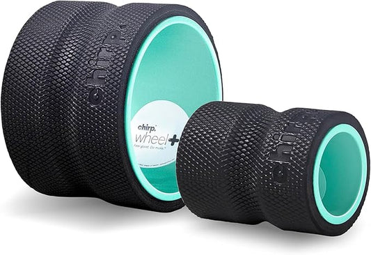 Chirp Wheel Foam Roller ??Targeted Back & Neck Relief, Lumbar Spine Stretcher, Spinal Decompression Back Stretcher, Massage Roller with Density Foam for Physical Therapy, Supports 500lbs, 2-Pack Mint