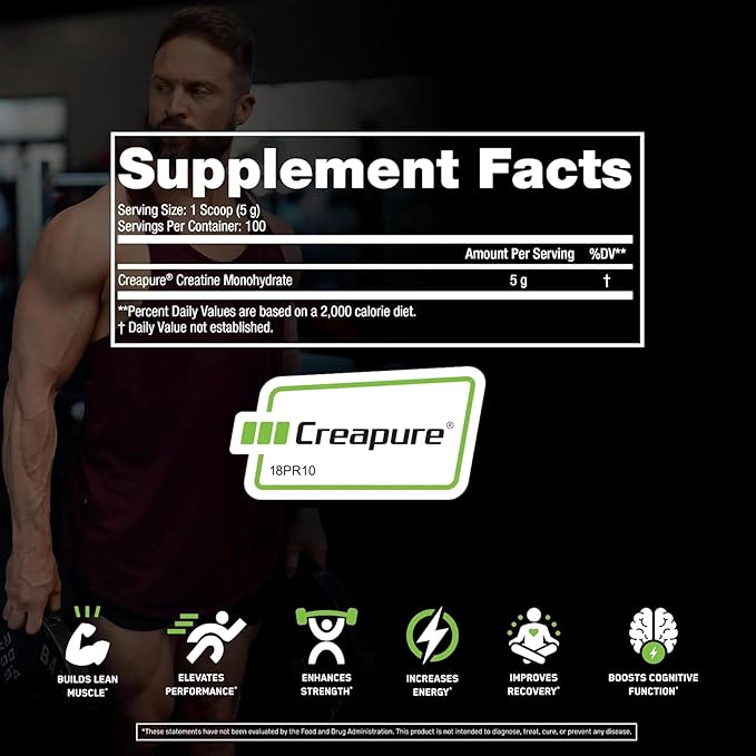 SteelFit Creapure Creatine Monohydrate Powder, Unflavored - German Micronized Creatine Powder for Men & Women - Gym Workout Nutritional Supplements for Muscle Gain, Brain Health & Strength Building