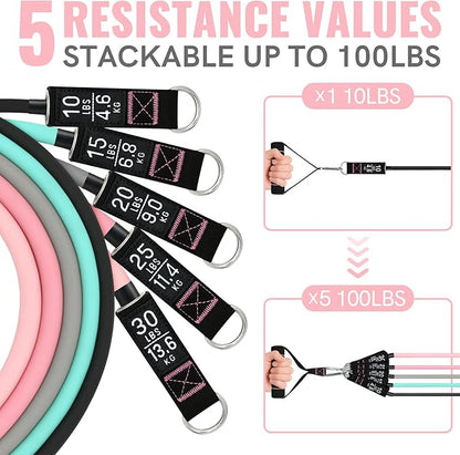 Aihoye Resistance Bands for Working Out, Exercise Bands with Handles, Stretch Bands for Exercise, Workout Bands with Door Anchors for Physical Therapy & Strength Training