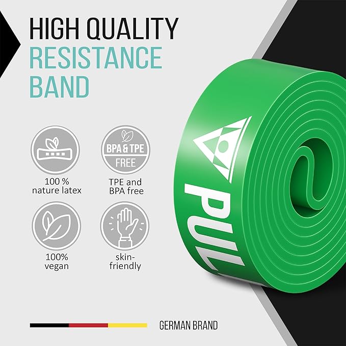 PULLUP & DIP Fitness Bands, Resistance Bands with Bag, Door Anchor (with Sets) and Exercise Guide - Single & in Value Set, Pull-Up Band Fitness Band for Calisthenics