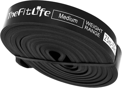 TheFitLife Pull Up Assistance Bands- Resistance Bands for Working Out, Long Workout Bands for Exercise, Fitness Band for Pullup Assist, a Substitute of Dumbbell Set and Kettlebells, Barbell