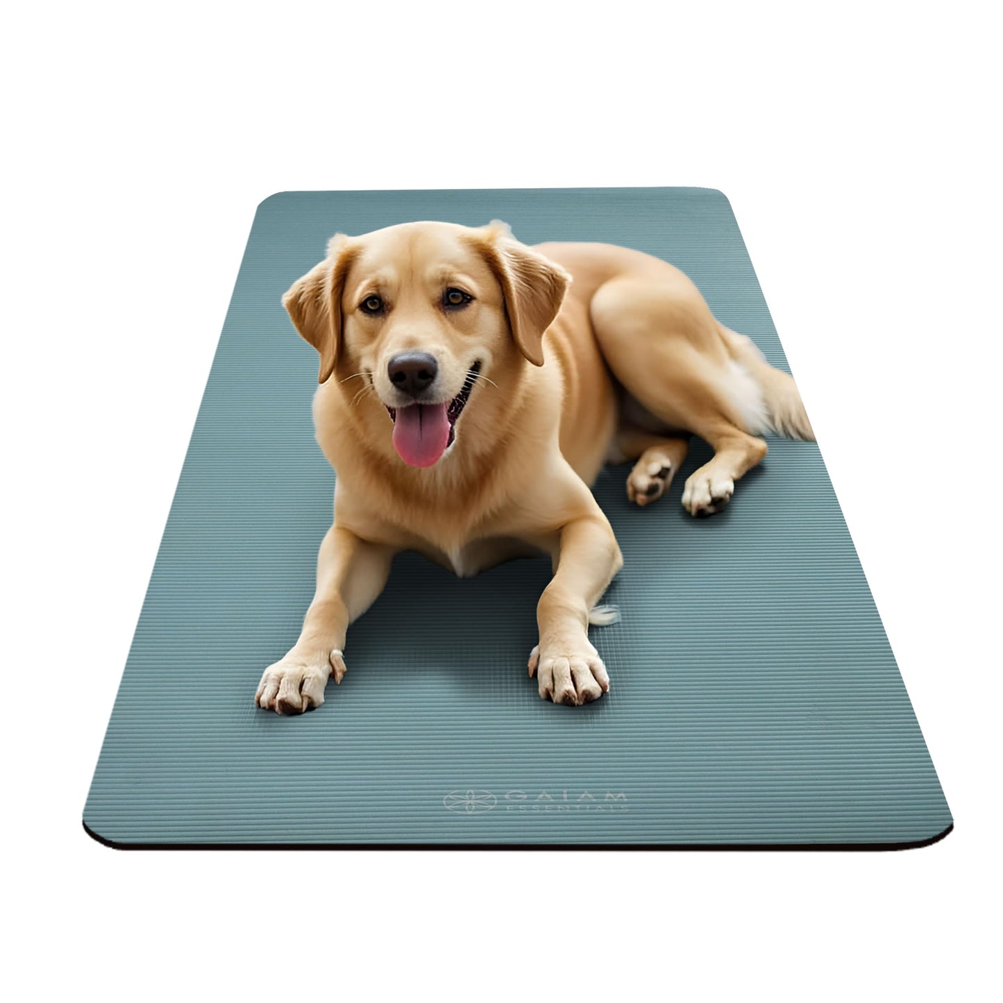 Gaiam Essentials Thick Yoga Mat with Easy-Cinch Strap (Balsam, 10mm)