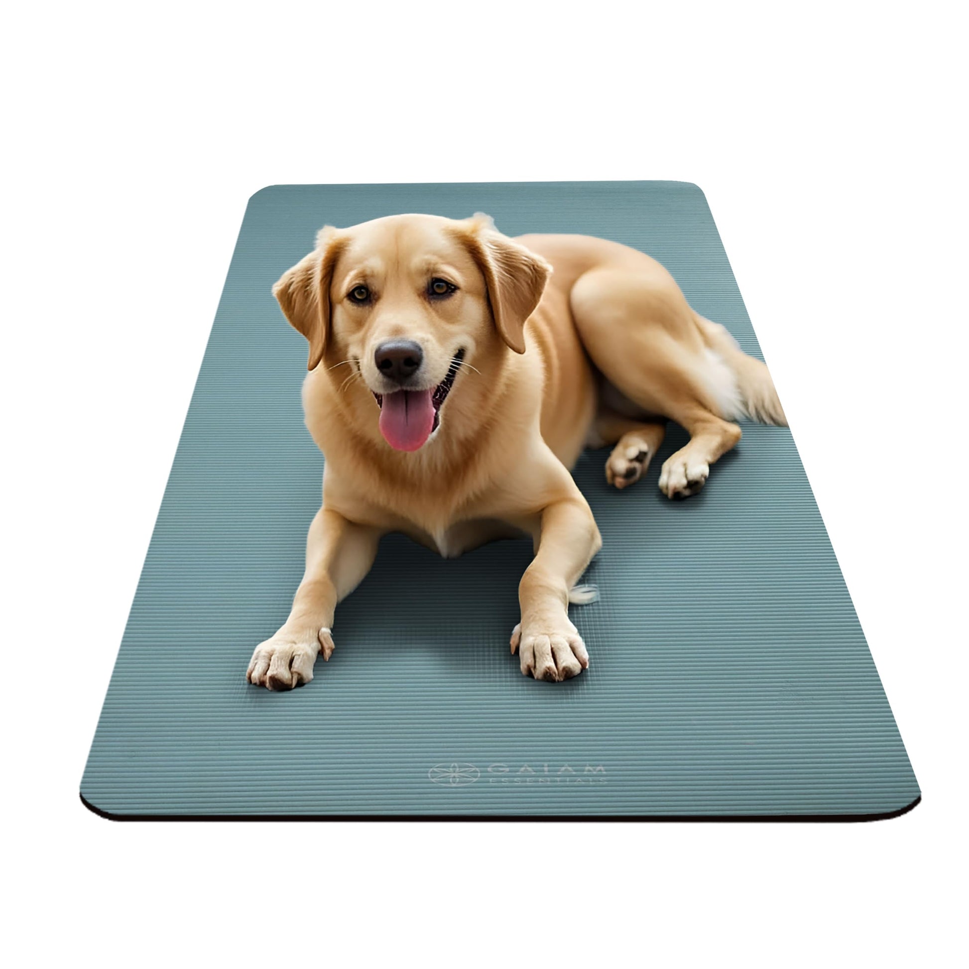 Gaiam Essentials Thick Yoga Mat with Easy-Cinch Strap (Balsam, 10mm)