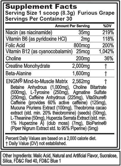 EVL Intense Pre Workout with Creatine - ENGN Energizing Pre Workout for Men Powder Drink for Lasting Energy Focus and Recovery - with Beta Alanine Caffeine and L Theanine - Furious Grape