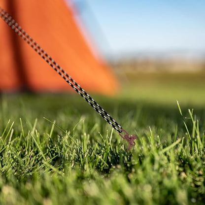 Reginary Ground Anchors Screw in Tent Stakes Heavy Duty Trampoline Anchors High Wind for Camping Canopy Carport Sheds Beach Sand Stakes Metal Swing Set