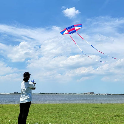 Beach Kites for Adults Large with Long Tail, 98 inches Super Easy Flyer 3D Rainbow Box Kites, Comes with Two 49 Feet Multi Colors Tails, 300 ft Kite String & Handle