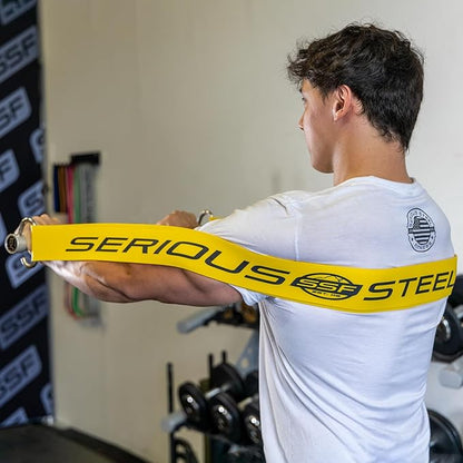 Serious Steel Fitness 37" Resistance Training Bands (Portable Exercise Band System Training Bands- Great for Individuals Looking for Tension Throughout The Exercise)