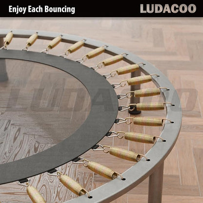 3.5"-8.5" Trampoline Springs, Heavy Duty Stainless Steel Trampoline Accessories with Swivel & Straight Hooks, Universal Trampoline Replacement Parts Includes T-Hook Tool, 12-48 Pack